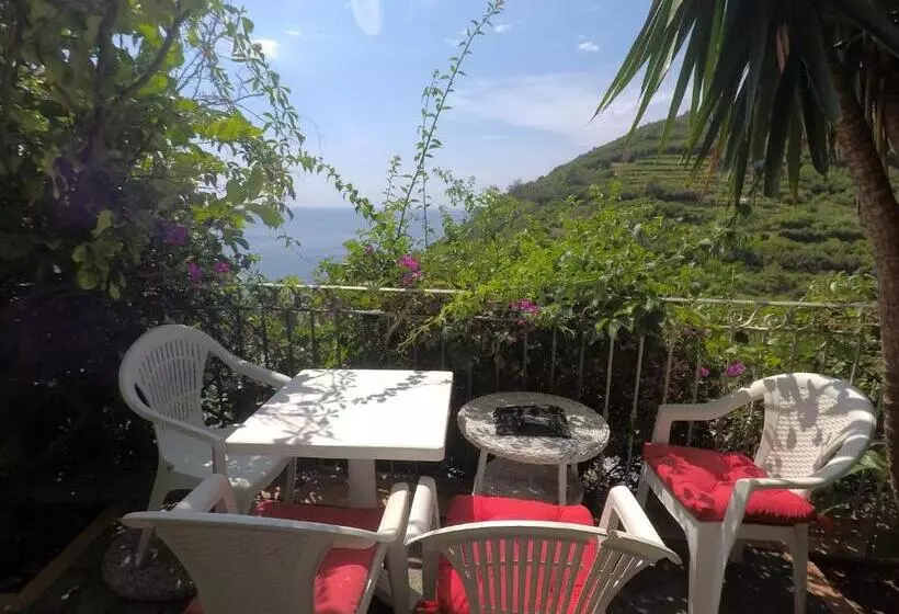 هتل Cinqueterre Holidays