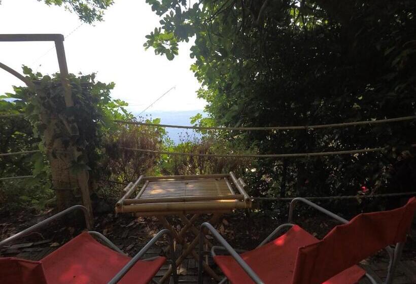 Отель Cinqueterre Holidays