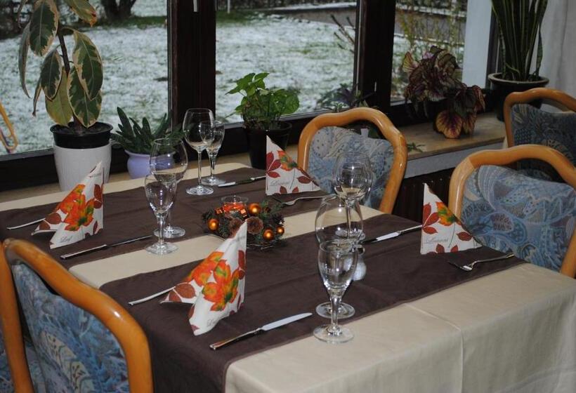 酒店 Gasthof Zum Diemeltal