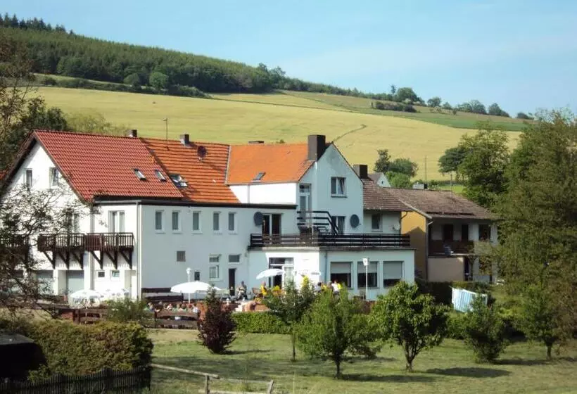 Hotelli Gasthof Zum Diemeltal