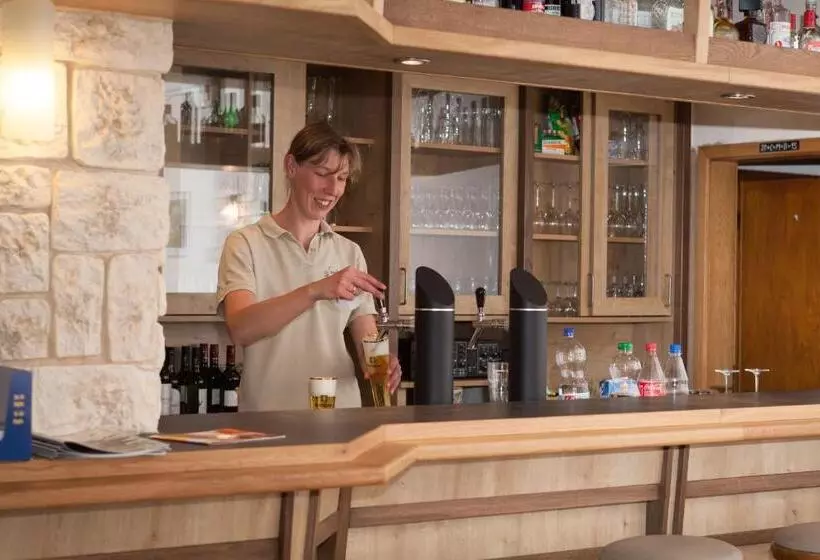 Hotelli Gasthof Zum Diemeltal