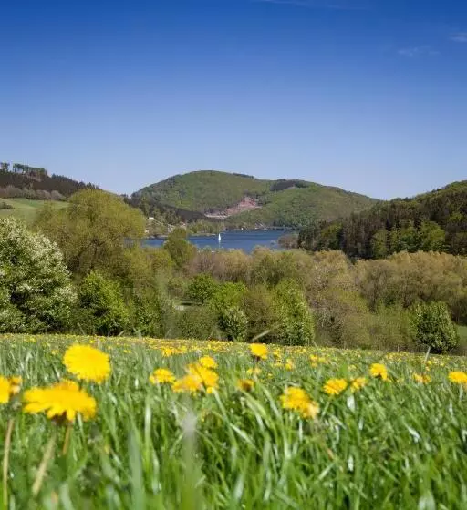 Hotelli Gasthof Zum Diemeltal
