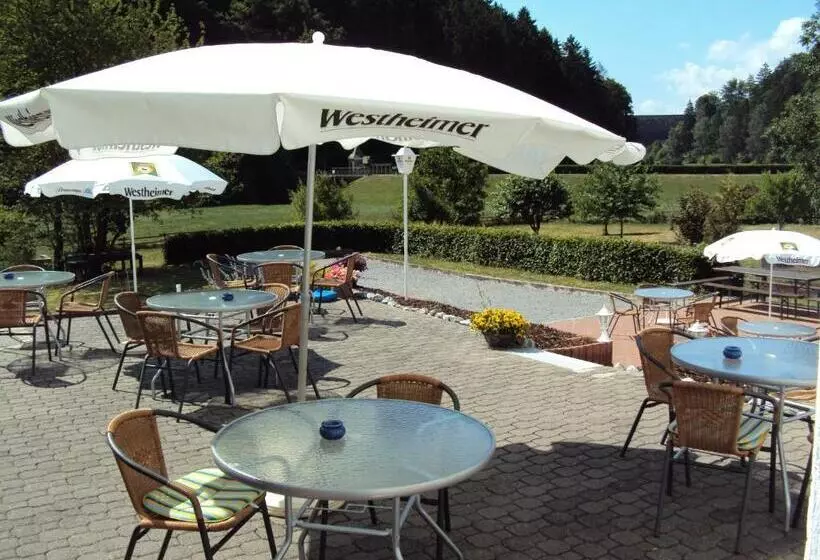 Hotelli Gasthof Zum Diemeltal