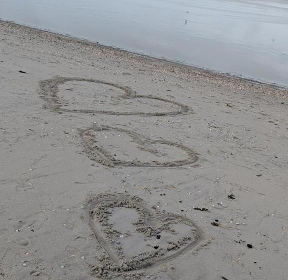 호텔 Landhaus Am Friesendeich