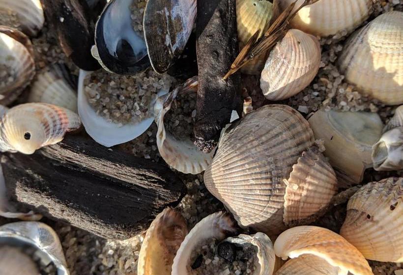 호텔 Landhaus Am Friesendeich