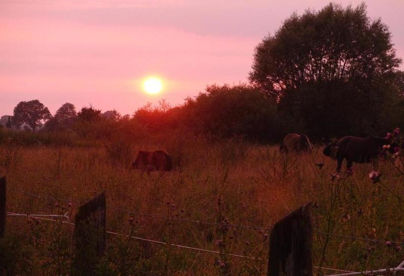 Отель Tepe's Gasthof