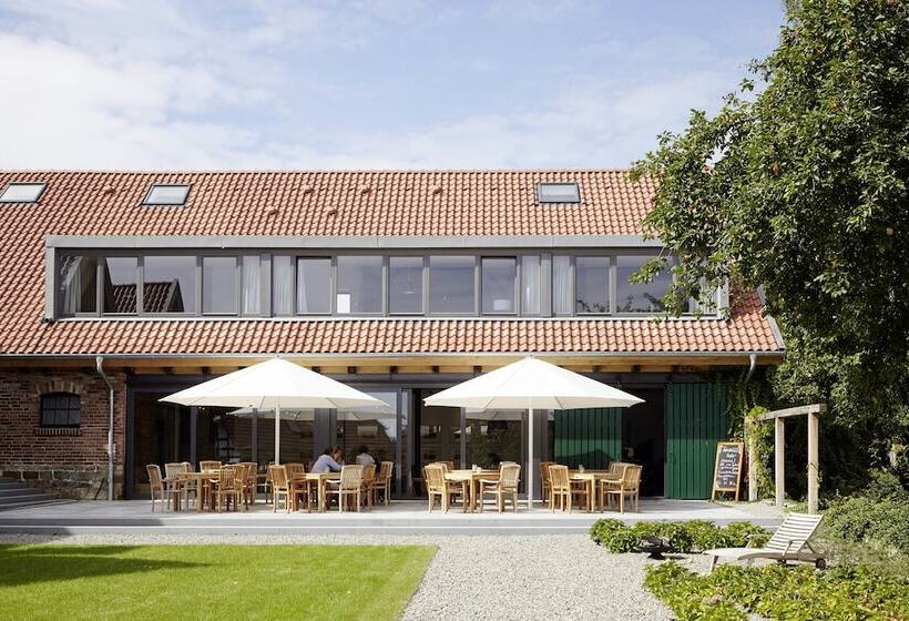 Meinwolfsburg Hotel Auf Dem Rittergut Vormals Yard Boarding