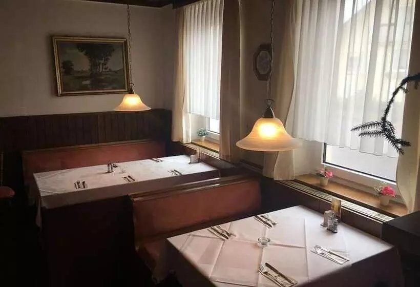Hotelli Zum Ritter