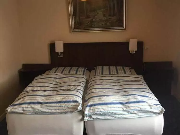 Hotelli Zum Ritter