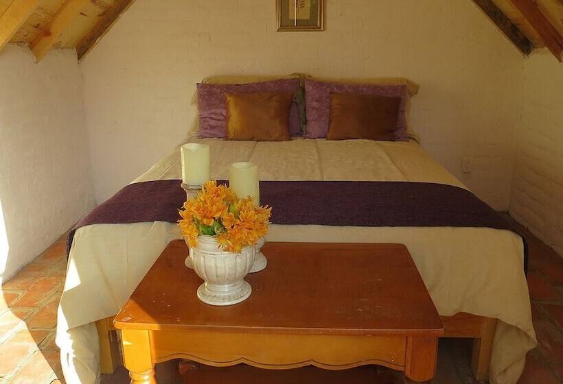 Pansiyon Cielito Mexicano