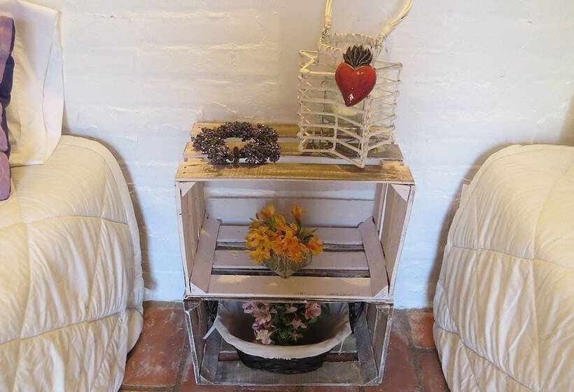 Pansiyon Cielito Mexicano