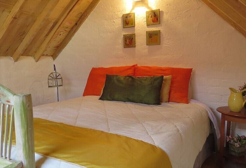 Pansiyon Cielito Mexicano