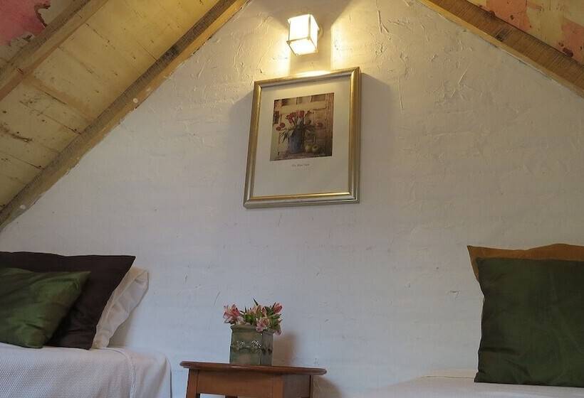 Pansiyon Cielito Mexicano