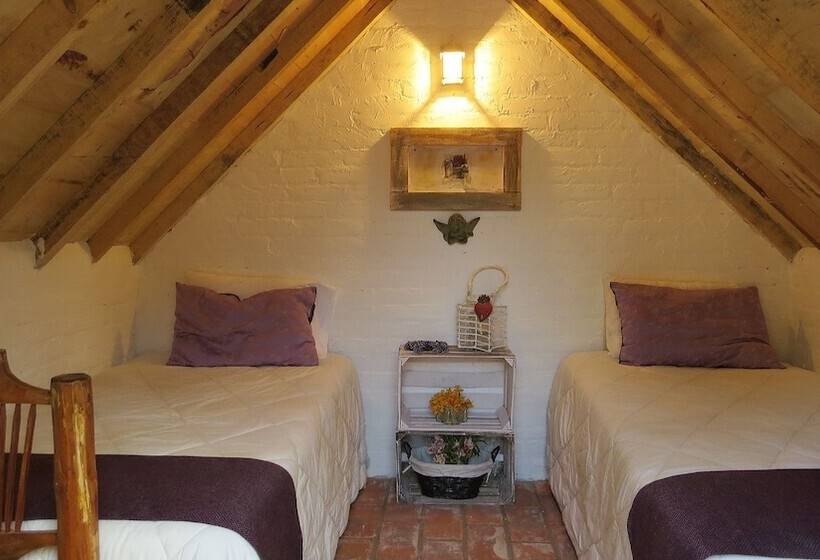 Pansiyon Cielito Mexicano