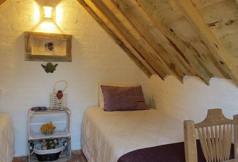 Pansiyon Cielito Mexicano