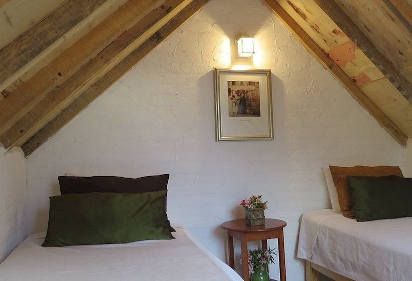 Pansiyon Cielito Mexicano