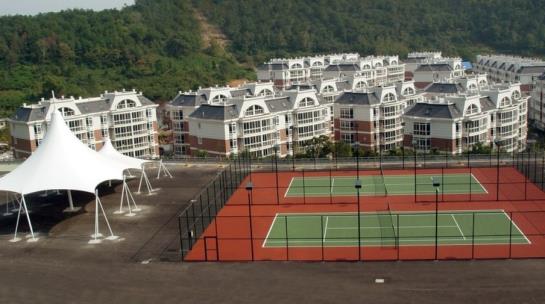 Da Xie International