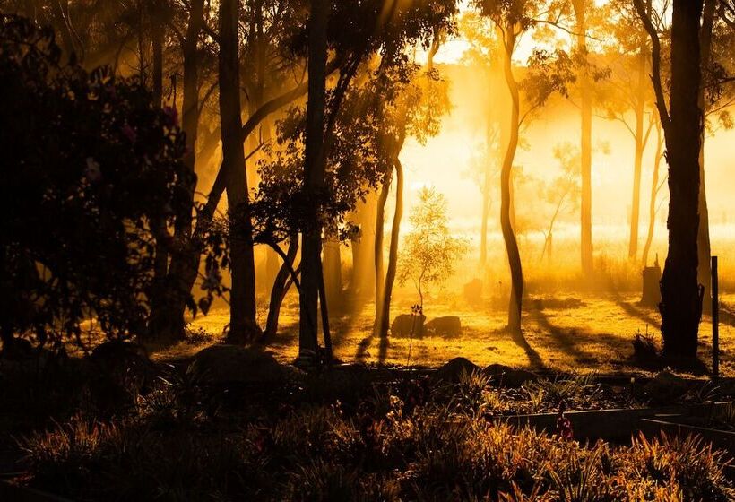 בית מלון כפרי Girraween Country Inn