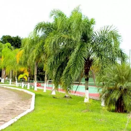 ホテル Iate Park