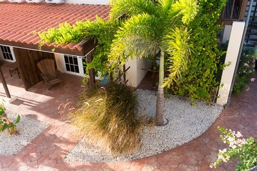 هتل White Beach Apartments - Noord/eagle Beach