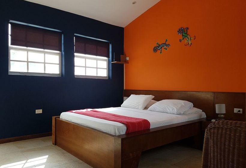 هتل White Beach Apartments - Noord/eagle Beach