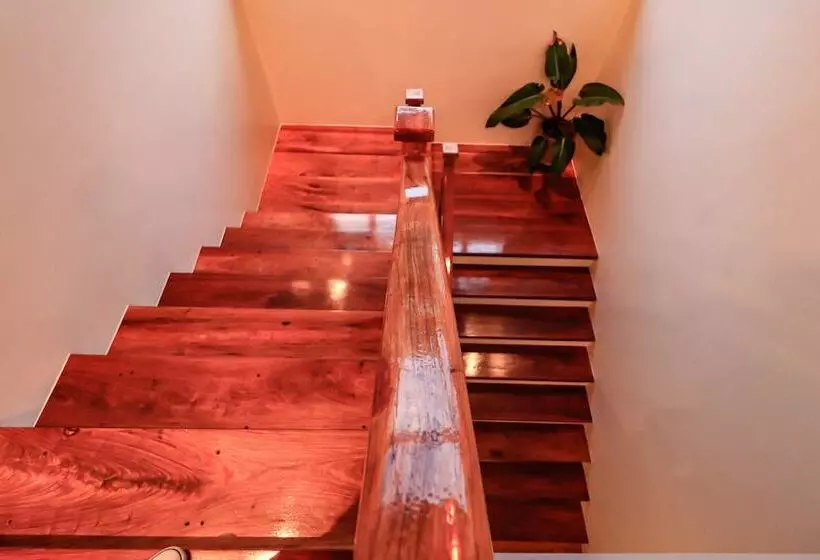 ホテル Josefina's Tourist Inn