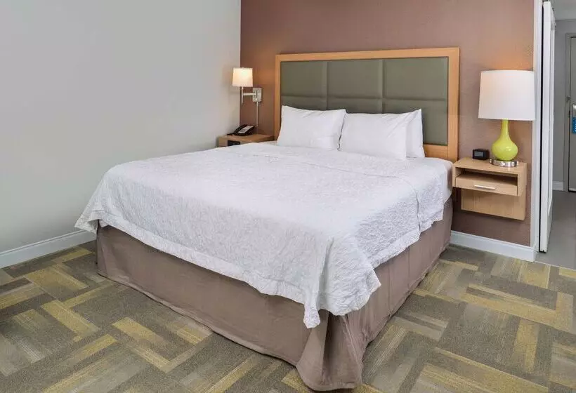 ホテル Hampton Inn & Suites Altoonades Moines
