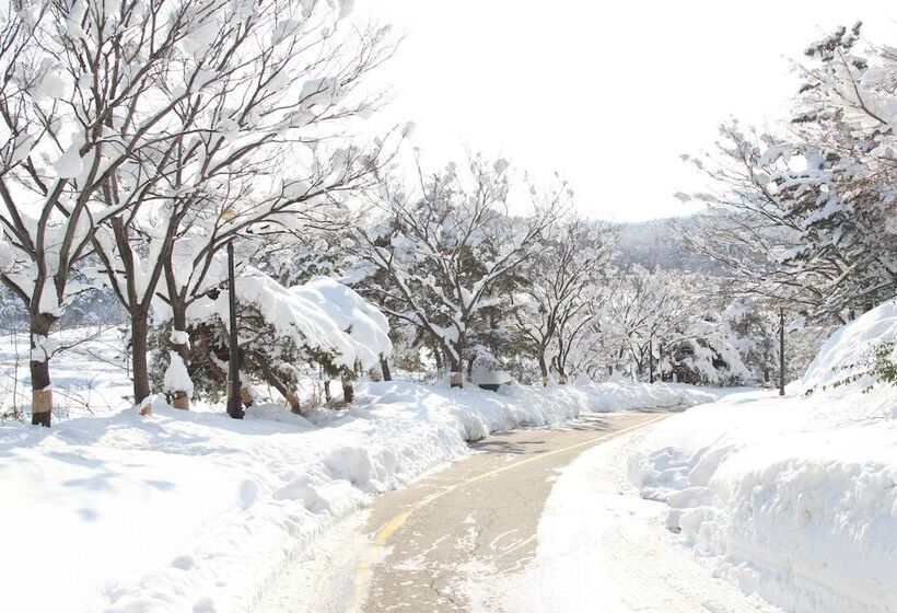 בית מלון כפרי Ipark Condominium