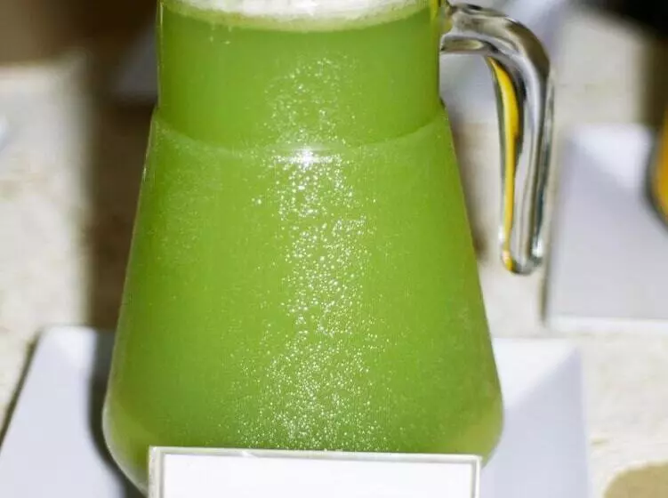 ホテル Jalapão