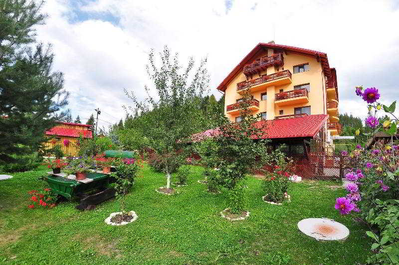 هتل Pensiunea Carmen Silvae