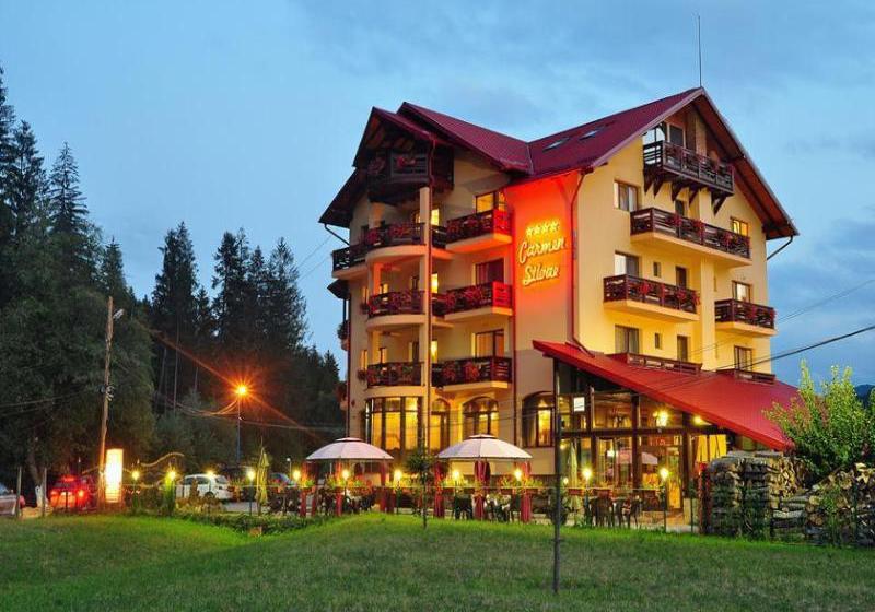 هتل Pensiunea Carmen Silvae