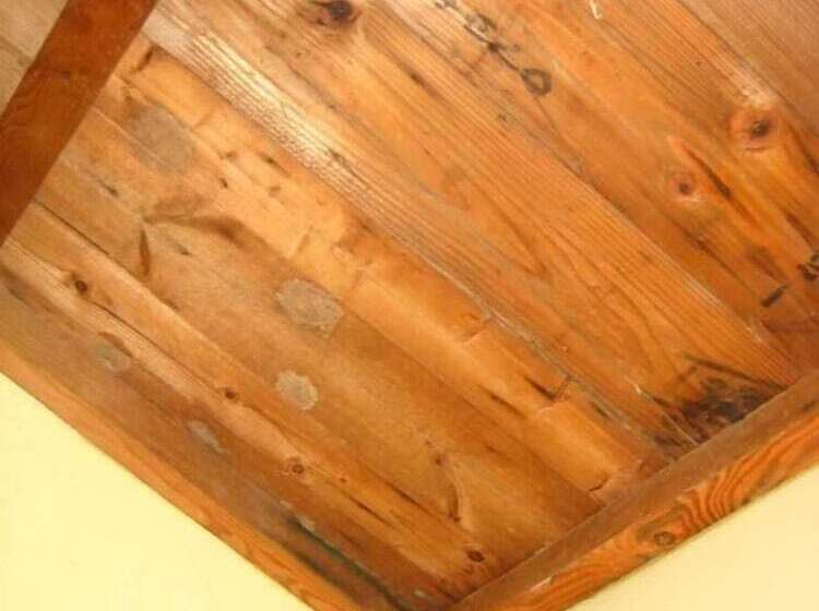 Mudgee Bed And Breakfast