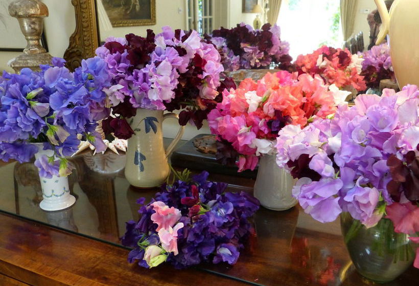 민박 Wooden Cabbage House