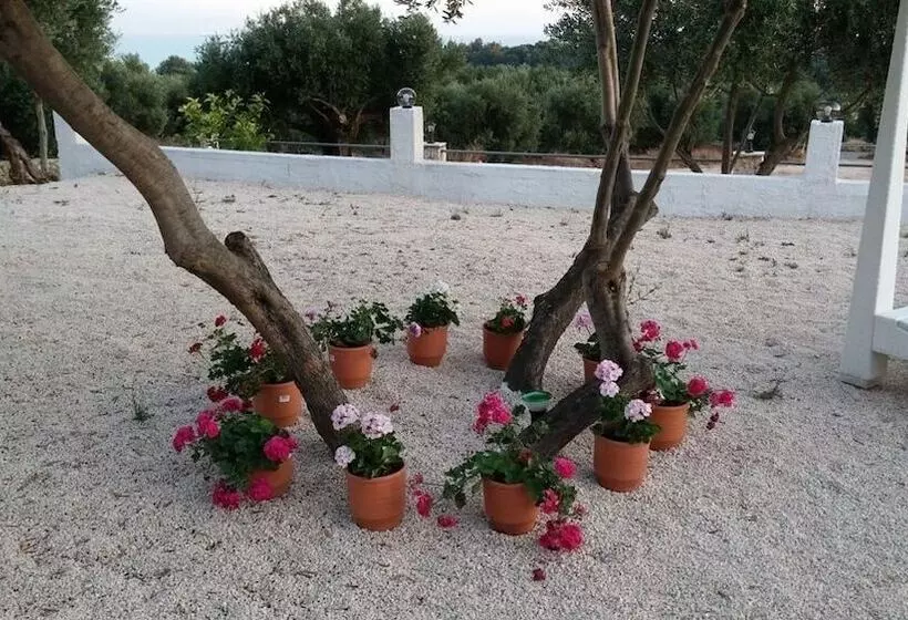 Elaias Gi Residence