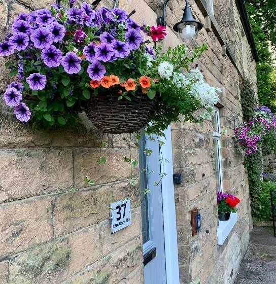 Ellen House Bed And Breakfast