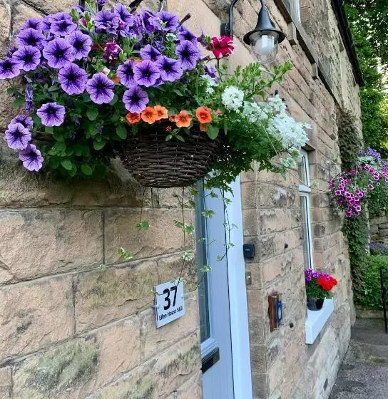 Ellen House Bed And Breakfast