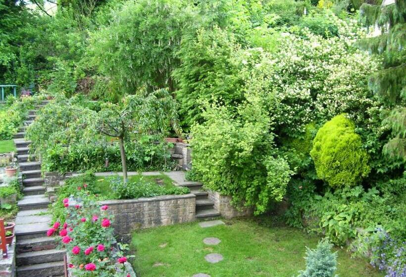 Ellen House Bed And Breakfast