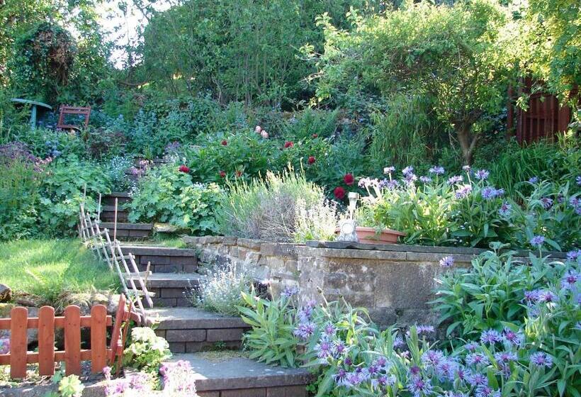 Ellen House Bed And Breakfast