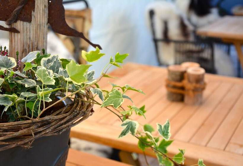 Genusshotel Hirschen   Erholung Im Grünen