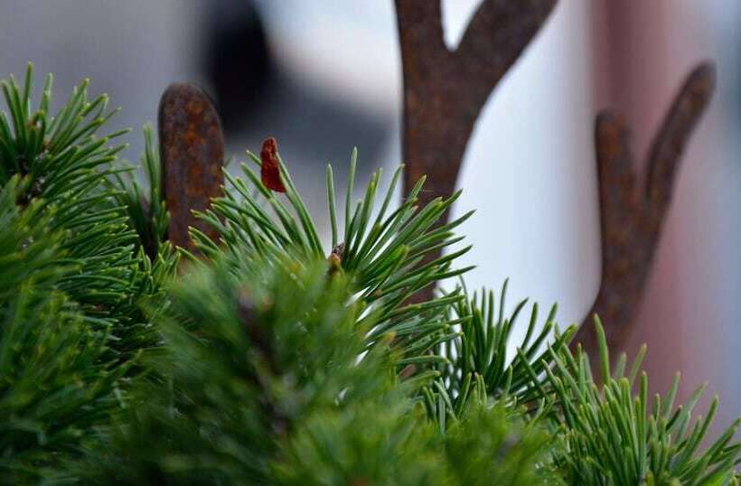 Genusshotel Hirschen   Erholung Im Grünen