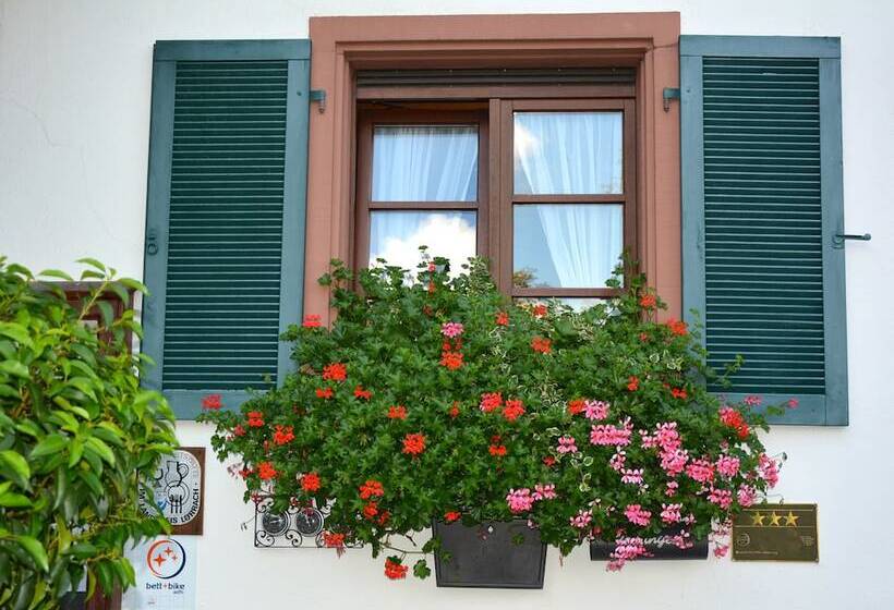 Genusshotel Hirschen   Erholung Im Grünen