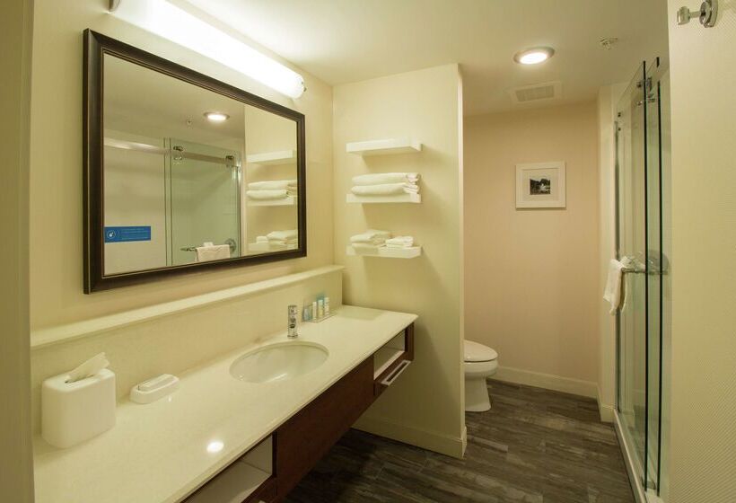 בית מלון כפרי Hampton Inn & Suites Cazenovia