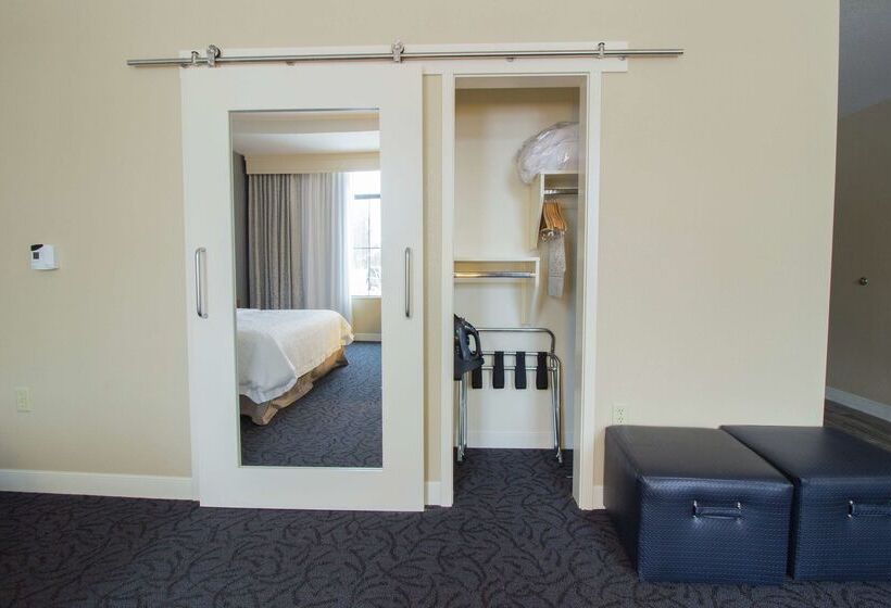 בית מלון כפרי Hampton Inn & Suites Cazenovia