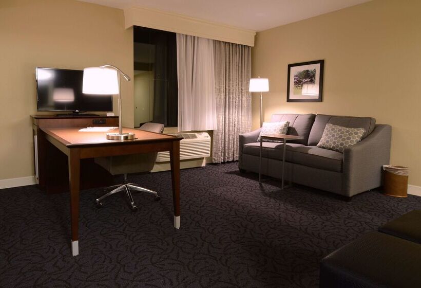 בית מלון כפרי Hampton Inn & Suites Cazenovia