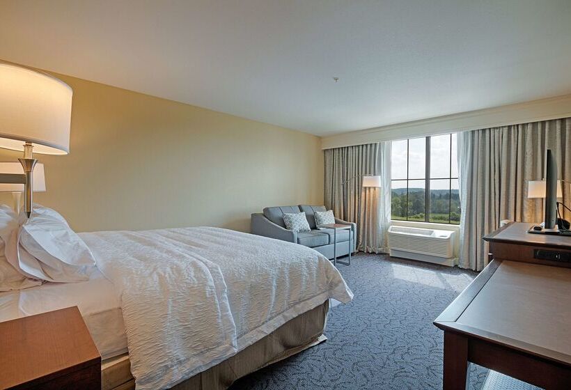 בית מלון כפרי Hampton Inn & Suites Cazenovia