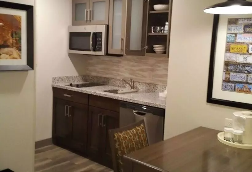 ホテル Homewood Suites By Hilton Moab