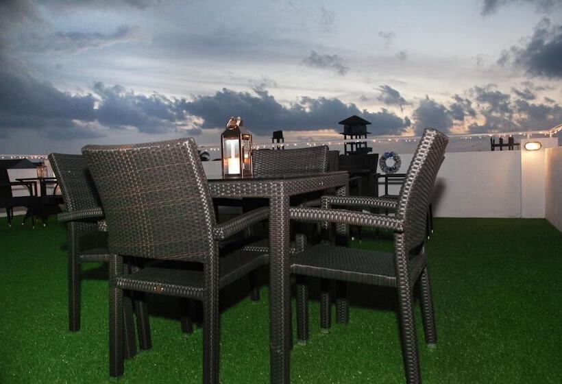 בית מלון כפרי The Suite 262