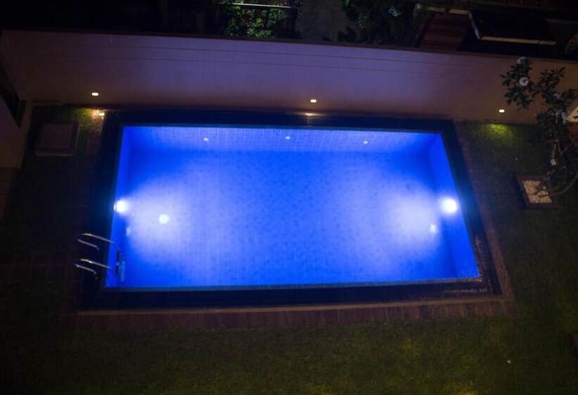 בית מלון כפרי The Suite 262