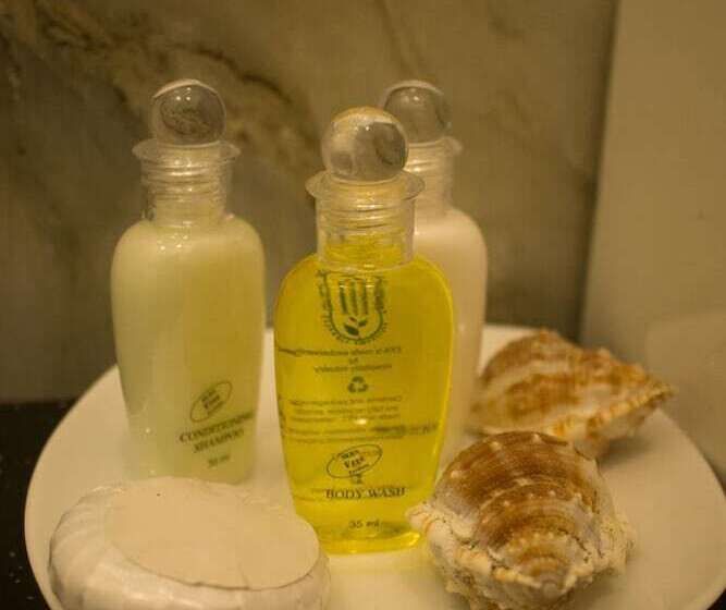 בית מלון כפרי The Suite 262