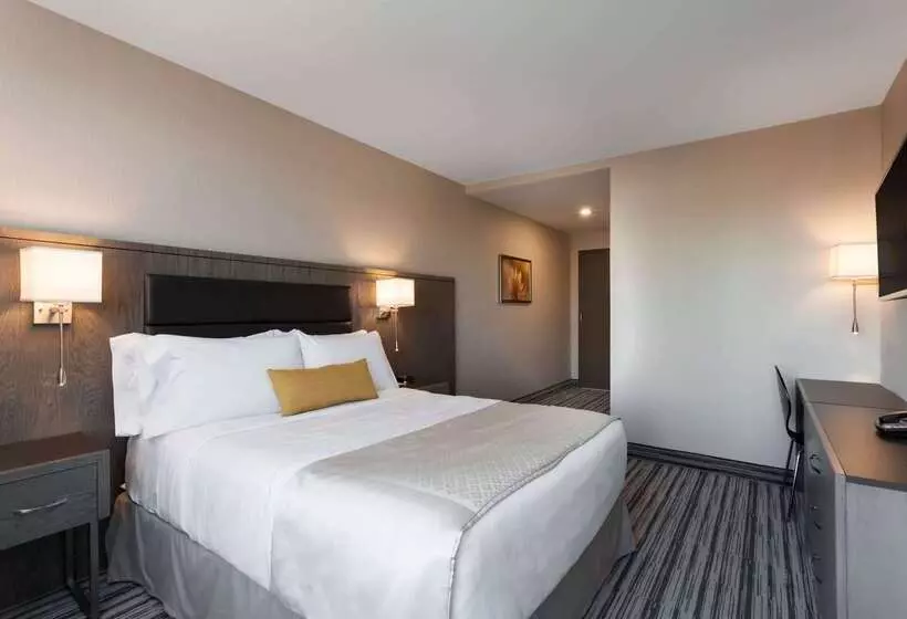 ホテル Wyndham Garden Laguardia South